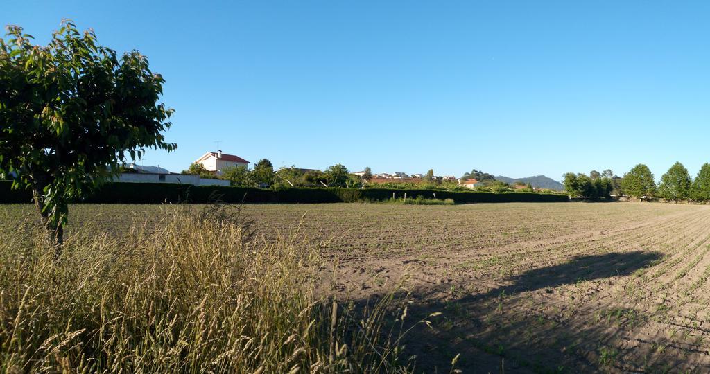 Quinta Da Lage Villa Barcelos Buitenkant foto